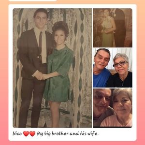 Meet your Posher, Dolly